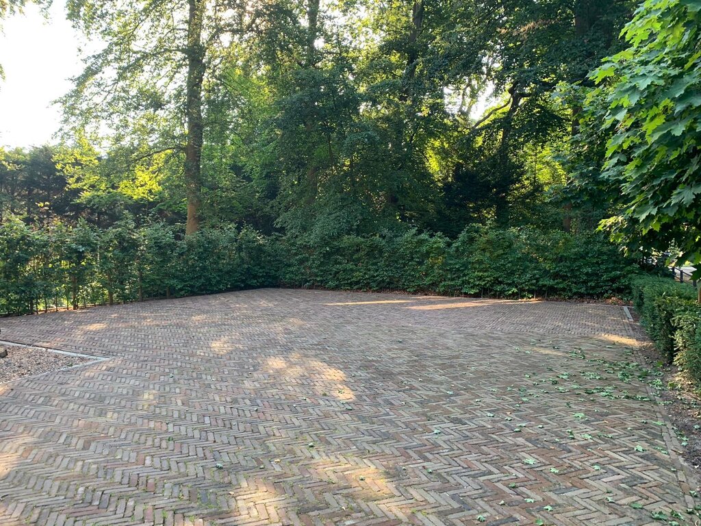 222476377.jpg