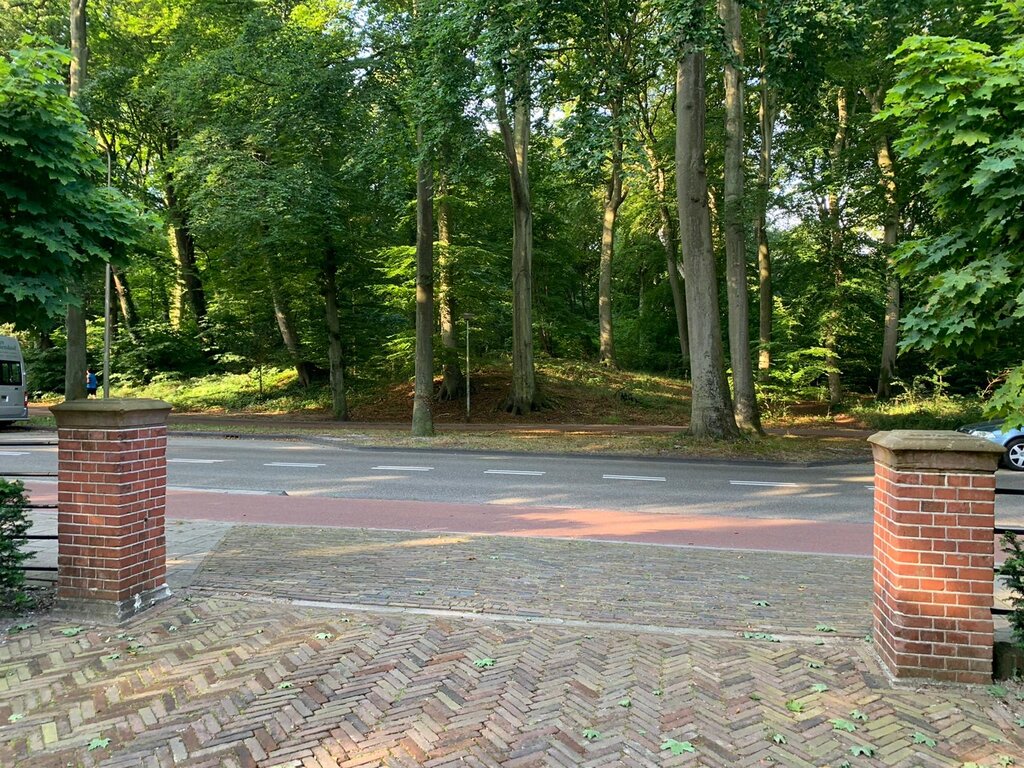 222476383.jpg